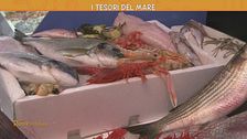 I tesori del mare