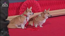 La passione di Elisabetta II per gli animali