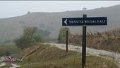 Una Sicilia rurale con il suo meraviglioso ecosistema