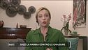 Giorgia Meloni: "Fratelli d'Italia all'opposizione per il bene del paese"