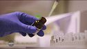 Cina, il Covid è nato in laboratorio?