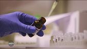 Cina, il Covid è nato in laboratorio?