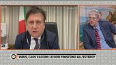 Caos vaccini, le dosi finiscono in altri Stati?