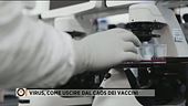 Virus, come uscire dal caos dei vaccini