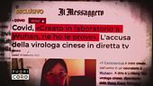 Virus, le bugie della Cina