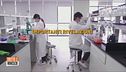 Covid sfuggito da laboratorio cinese, ecco le prove