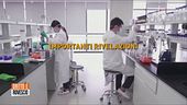 Covid sfuggito da laboratorio cinese, ecco le prove