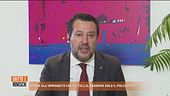 Spara all'immigrato, Matteo Salvini: "Entro l'estate le forze l'ordine saranno munite di taser"