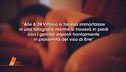 Ciro Grillo, compagni ed "amiche"