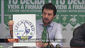 La metamorfosi di Matteo Salvini