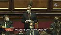 Mario Draghi al Senato