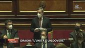 Mario Draghi al Senato