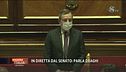 La parola a Mario Draghi, in diretta dal Senato
