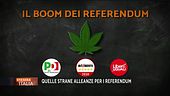 Operazione referendum