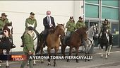 Al galoppo verso Verona!