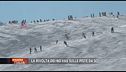Pass verde per bianche piste