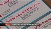 Il vaccino anti Covid-19