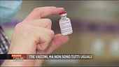Efficacia vaccinale