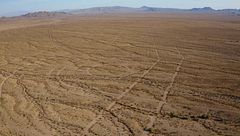 Ep. 15 - Catastrofi ambientali