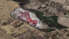 Ep. 16 - I segreti della New Forest