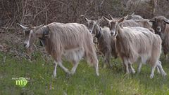 Puntata del 9 maggio