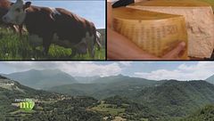 Puntata del 23 maggio