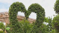 Puntata del 30 maggio