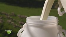 Puntata del 13 giugno