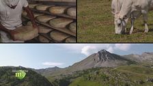 Puntata del 19 settembre