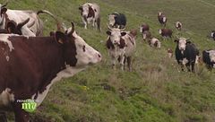 Puntata del 3 ottobre