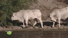 Puntata del 17 ottobre