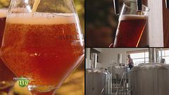 Puntata del 24 ottobre