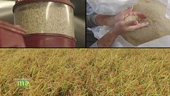 Puntata del 31 ottobre