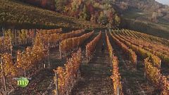 Puntata del 21 novembre