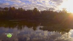 Puntata del 19 dicembre