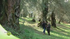 Puntata del 3 gennaio