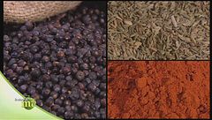 Puntata del 14 febbraio