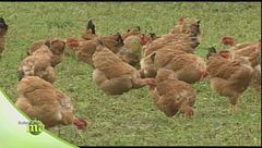 Puntata del 21 febbraio