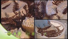 Puntata del 21 febbraio