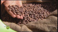 Puntata del 19 settembre| Prima parte