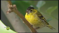 Puntata del 26 settembre | Seconda parte