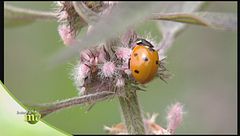 Puntata del 3 ottobre | Seconda parte