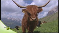 Puntata del 10 ottobre | Seconda parte