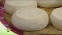Formaggi con latte di pecora Zerasca