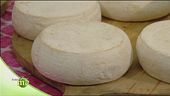 Formaggi con latte di pecora Zerasca