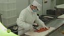 La produzione della trota