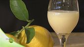Come preparare il superalcolico Limoncino e la marmellata di limoni
