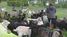 Una grande passione e una nuova vita