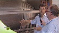 La lavorazione dei capperi