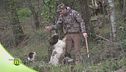 L'addestramento del cane da tartufo